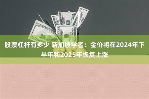 股票杠杆有多少 新加坡学者：金价将在2024年下半年和2025年恢复上涨