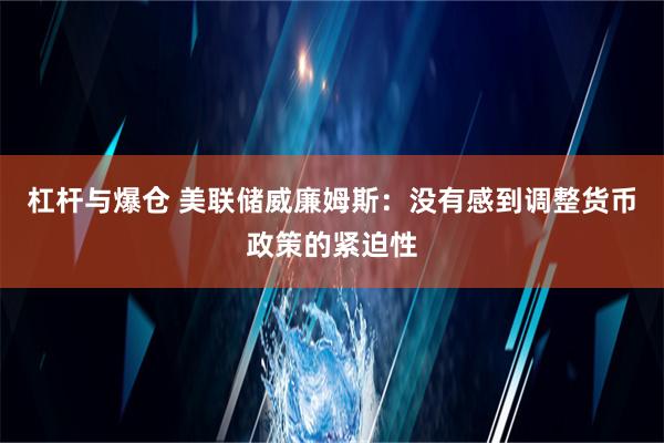 杠杆与爆仓 美联储威廉姆斯：没有感到调整货币政策的紧迫性