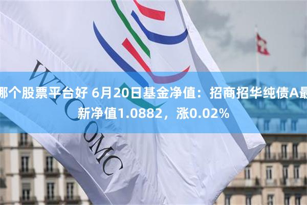 哪个股票平台好 6月20日基金净值：招商招华纯债A最新净值1.0882，涨0.02%