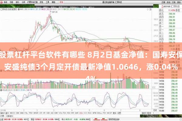 股票杠杆平台软件有哪些 8月2日基金净值：国寿安保安盛纯债3个月定开债最新净值1.0646，涨0.04%