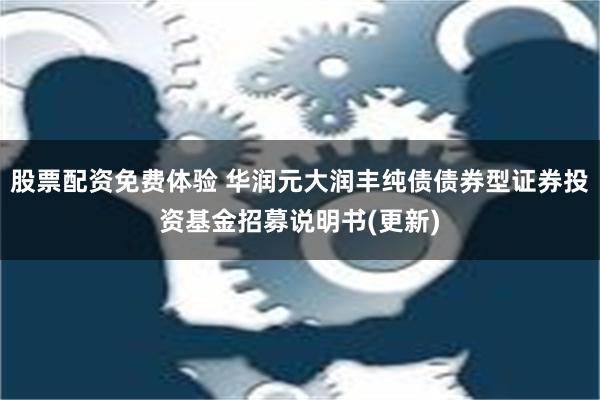 股票配资免费体验 华润元大润丰纯债债券型证券投资基金招募说明书(更新)