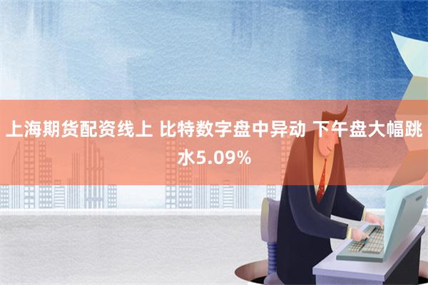 上海期货配资线上 比特数字盘中异动 下午盘大幅跳水5.09%