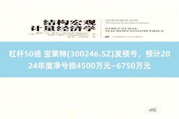 杠杆50倍 宝莱特(300246.SZ)发预亏，预计2024年度净亏损4500万元—6750万元