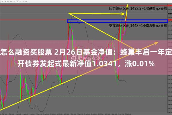 怎么融资买股票 2月26日基金净值：蜂巢丰启一年定开债券发起式最新净值1.0341，涨0.01%